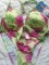 Maillot De Bain 2 Pièces Bikini + Paréo Assorti fleurs fuchsias
